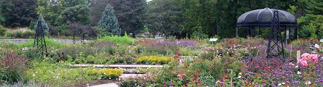 Image result for rose gardens in europe
