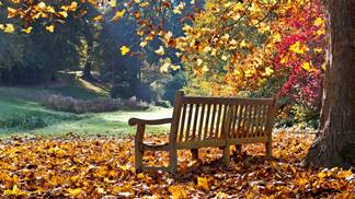 Image result for early fall funny pictures