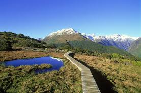 Image result for new zealand scenery
