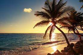 Sunrise tropical island beach view HD picture 04 free download