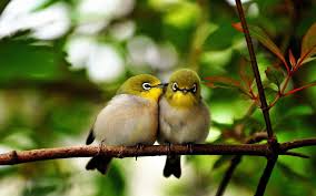 20 Couples That Will Make You Fall In Love With The Nature